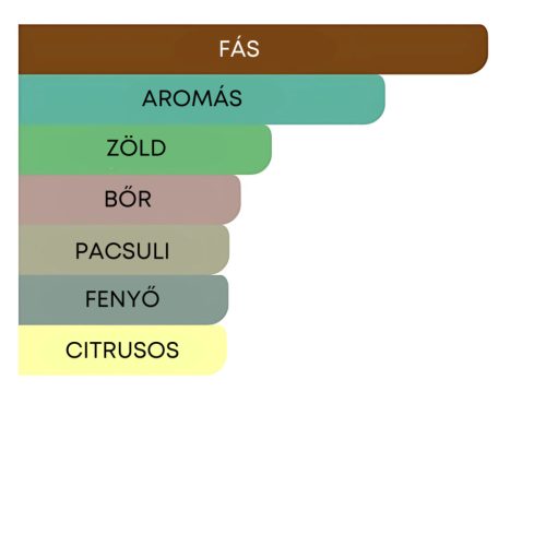 Afnan - Supremacy Noir EDP 100ml